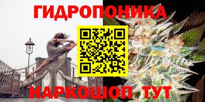 дмт Сланцы