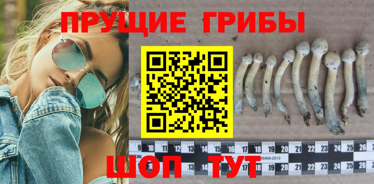 Псилоцибиновые грибы Psilocybine cubensis  закладка  Белебей  Вход с VPN 