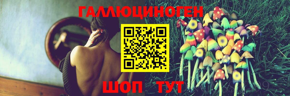 Галлюциногенные грибы Psilocybe Белебей